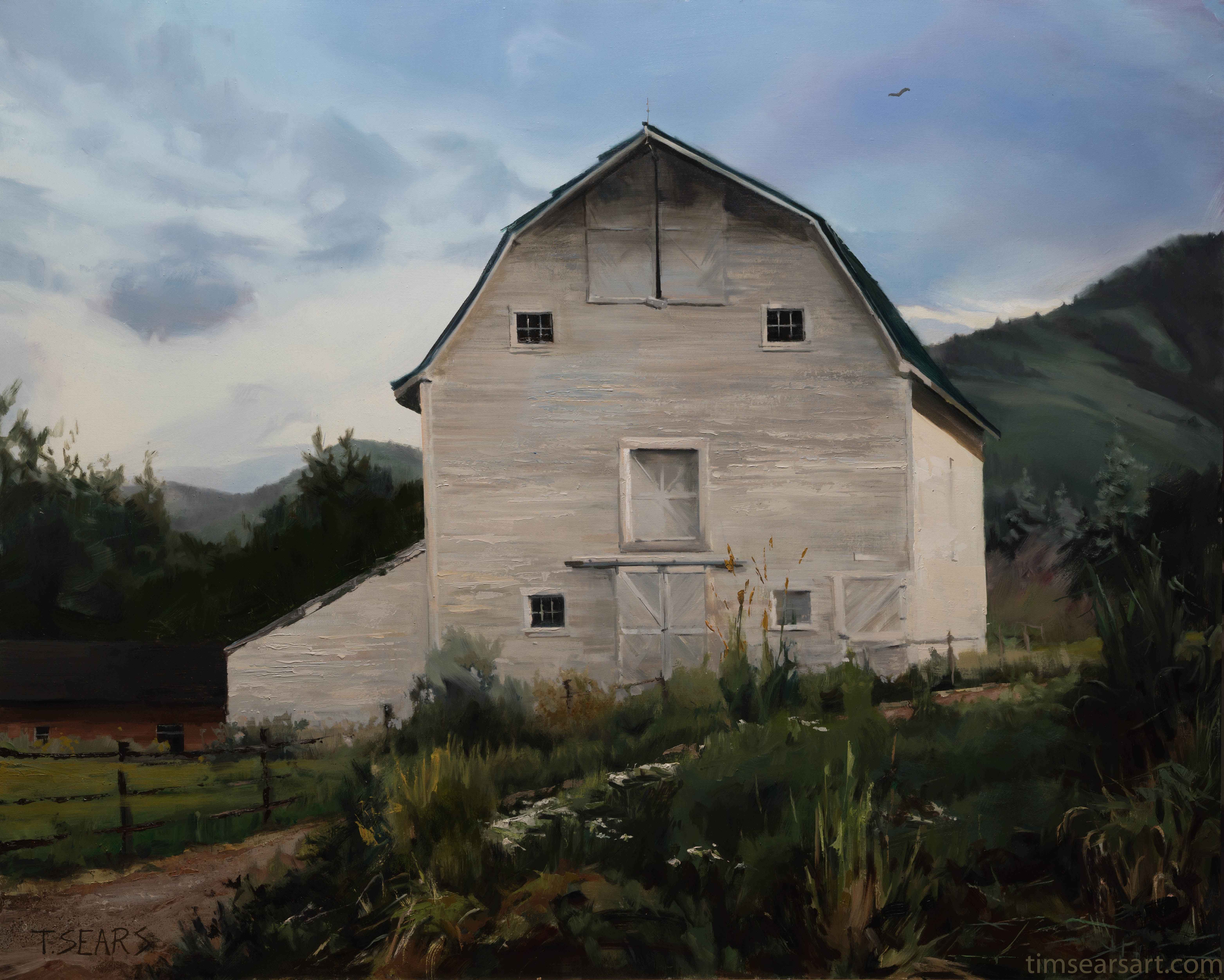 Barn on Swaner Preser... by  Tim Sears - Masterpiece Online