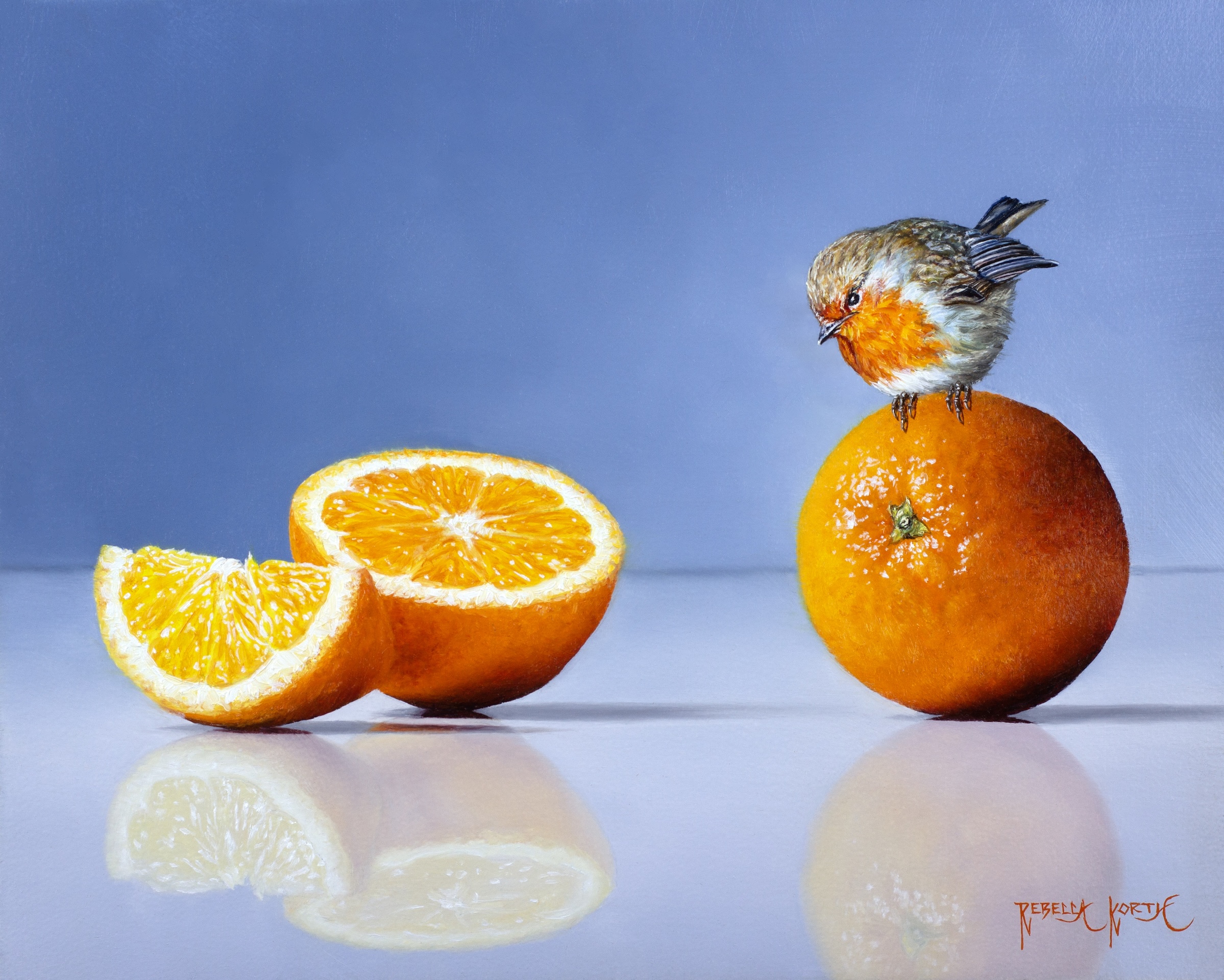 Image of Robin Redbreast & Oranges by Rebecca Korth