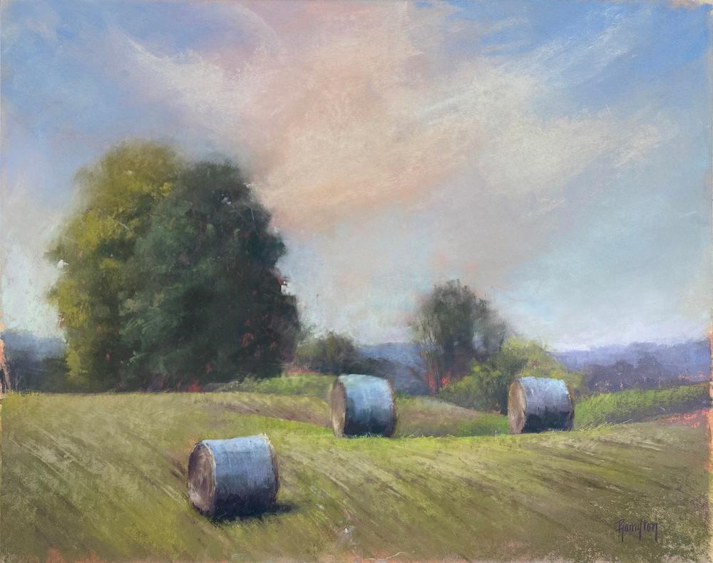 Field of Hay