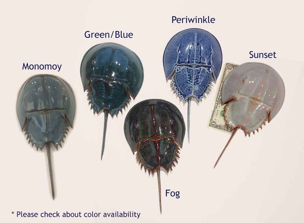 Ceramic 2018 Horseshoe Crab, Small by Mark Rea North Water Gallery