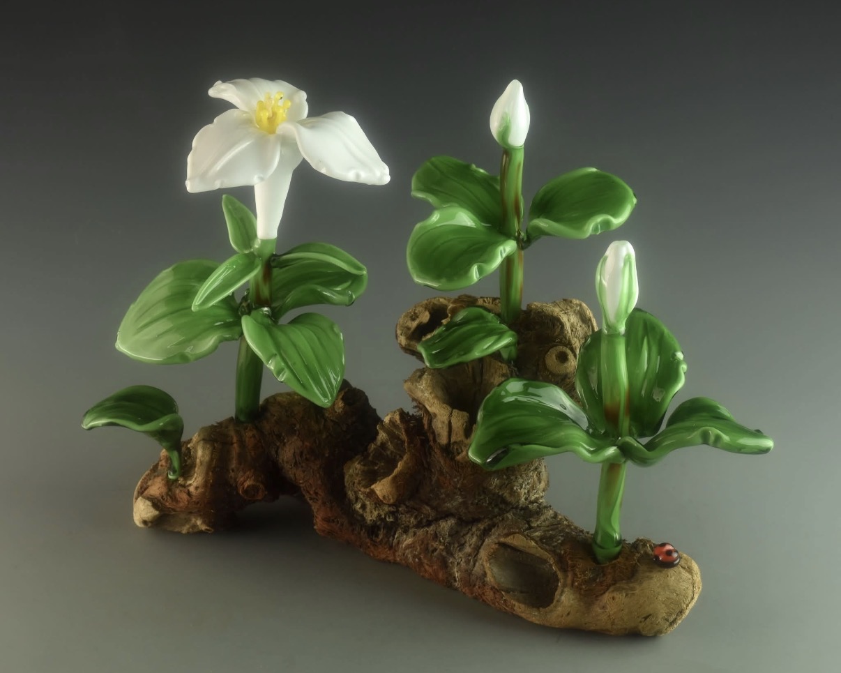 Image of Quiet Renewal (Trillium Trio) by Vicki Schneider