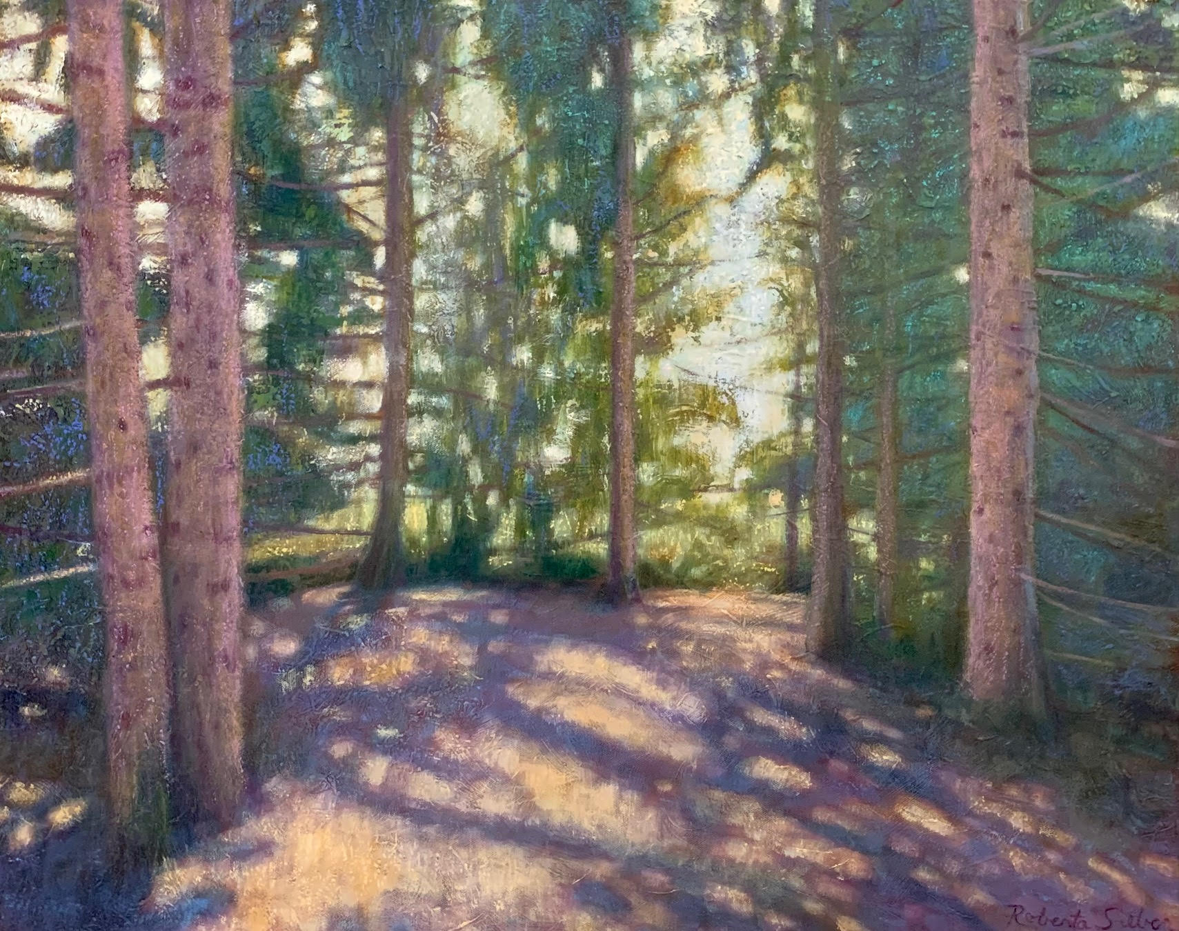 Image of In the Shadows of the Pines by Roberta Sieber
