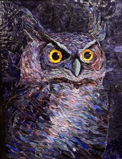 Image for Night Owl