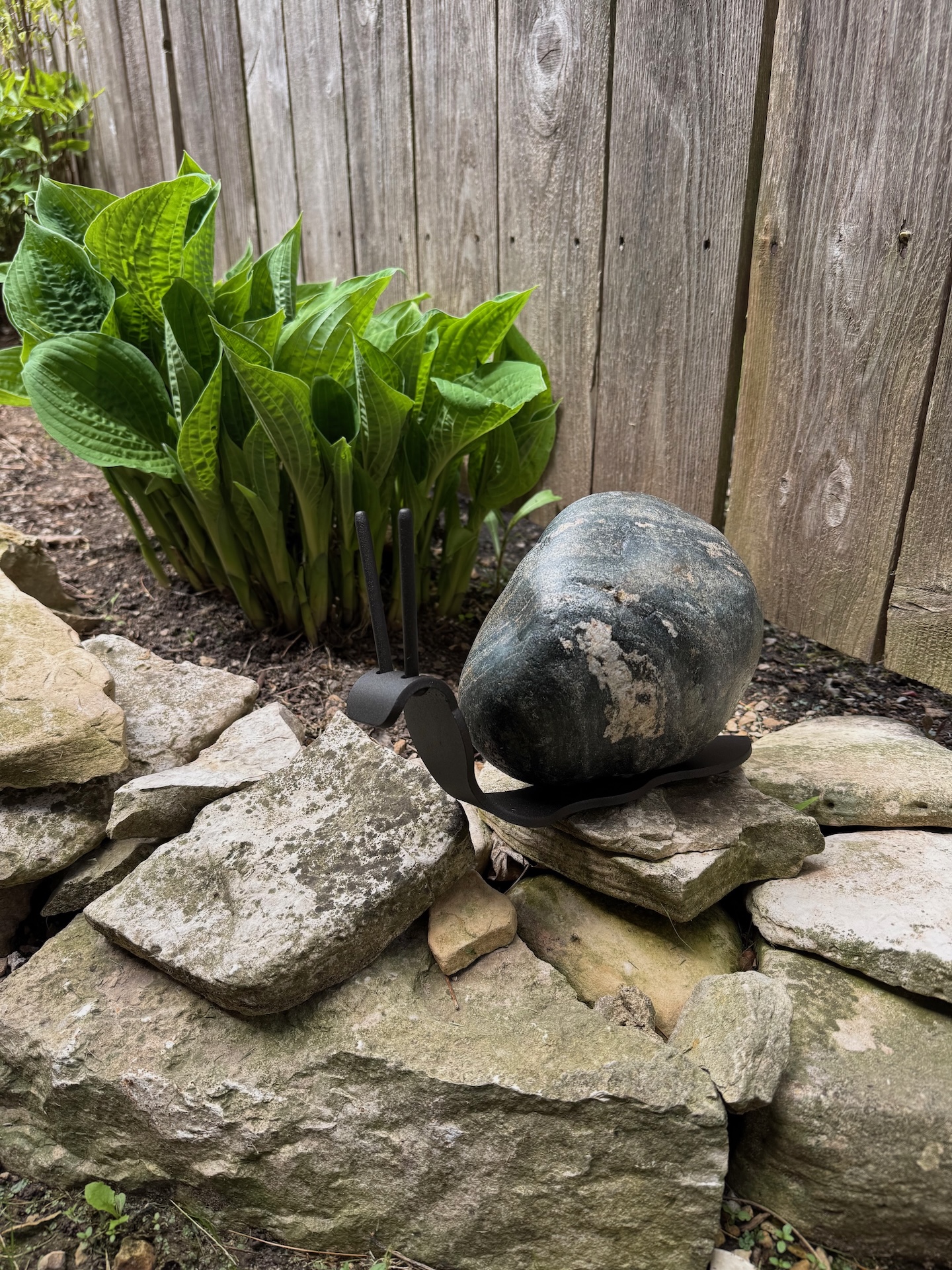 Image of Snail, Large 4B by  Francis Metal Works