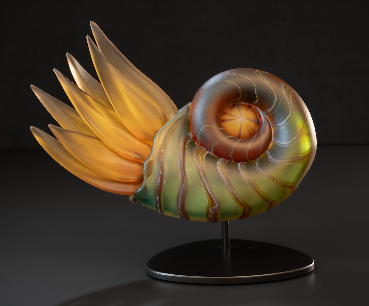 Feature image for Hawk Gallery Item