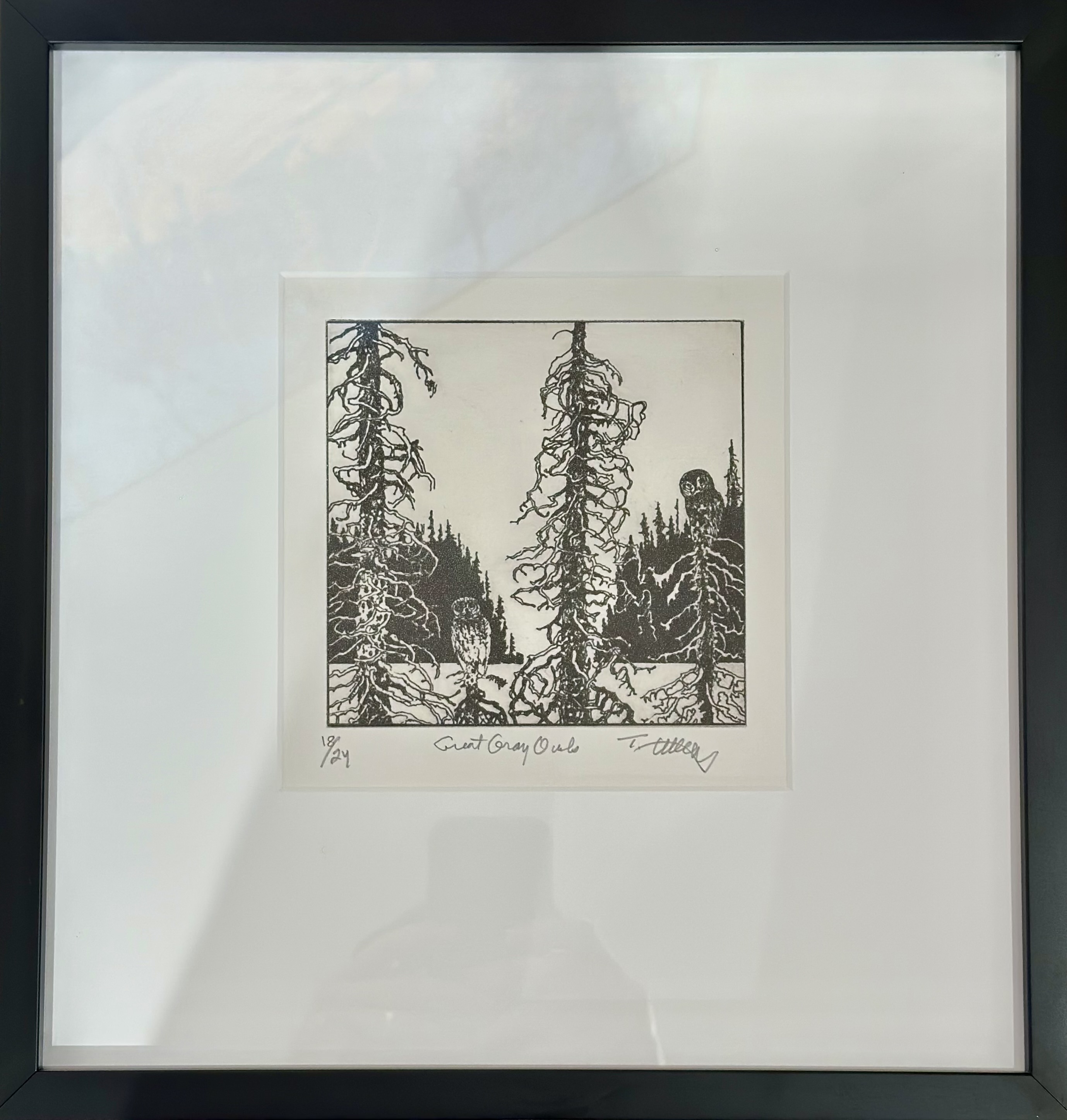 Image of Great Grey Owls (Framed) by Tom Uttech