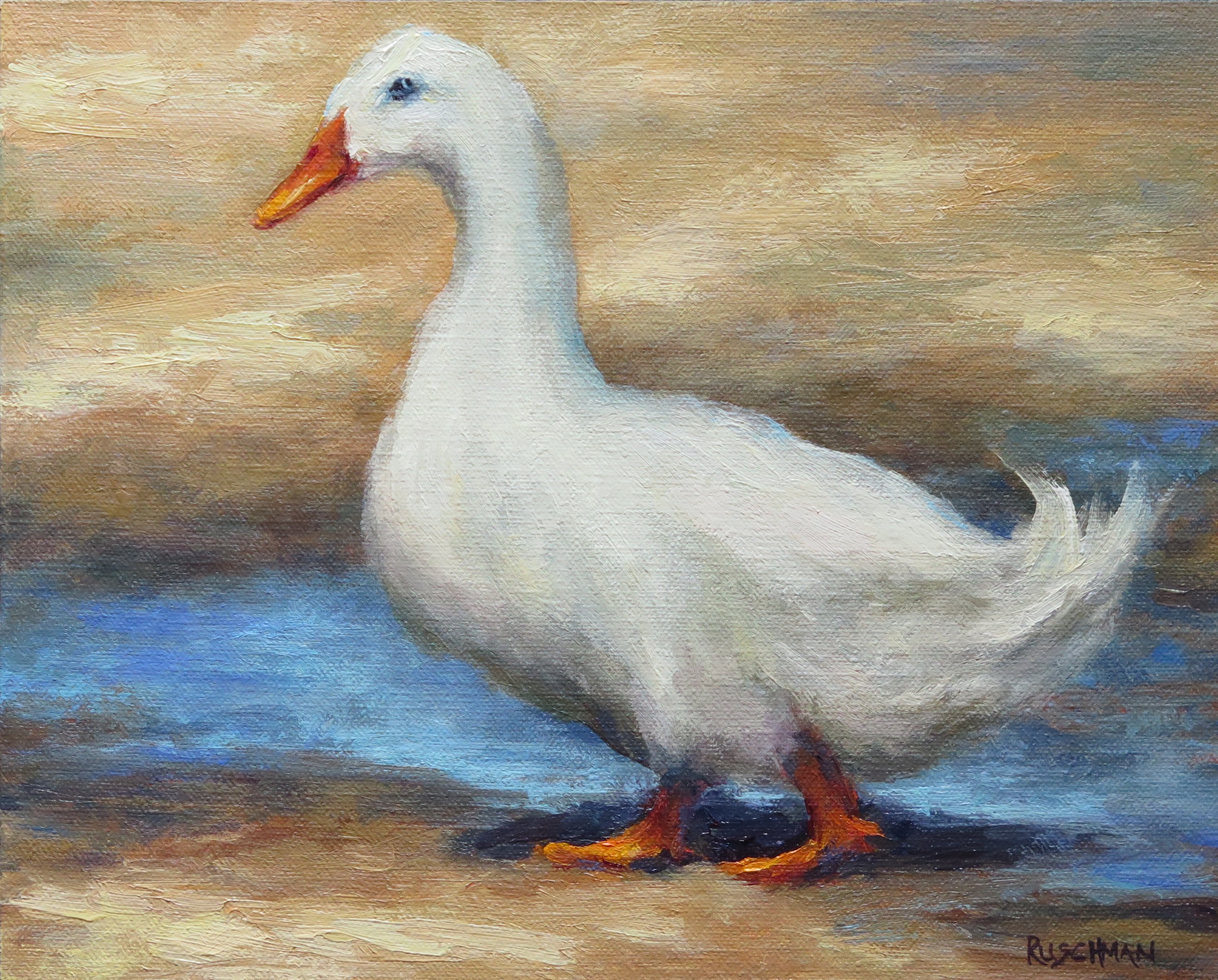 Image of Waddling Through Life by Pamela Ruschman