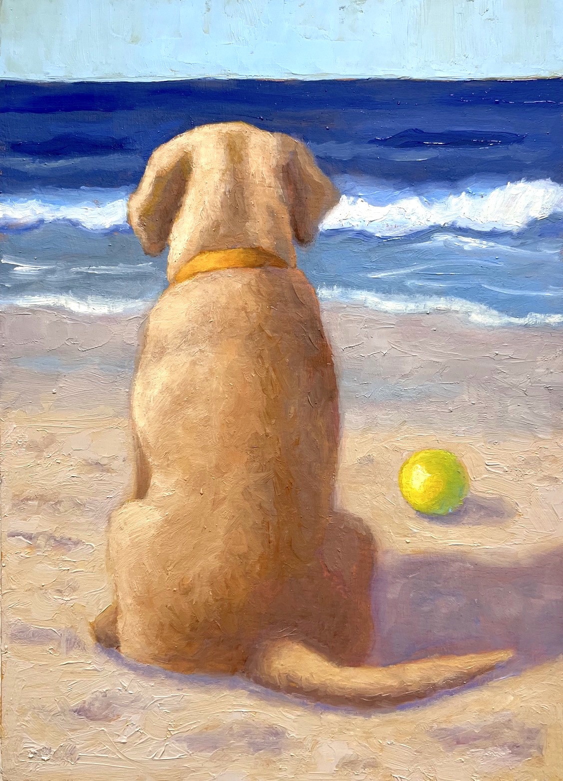 Image of Ready, Set, Fetch by Pat Doherty