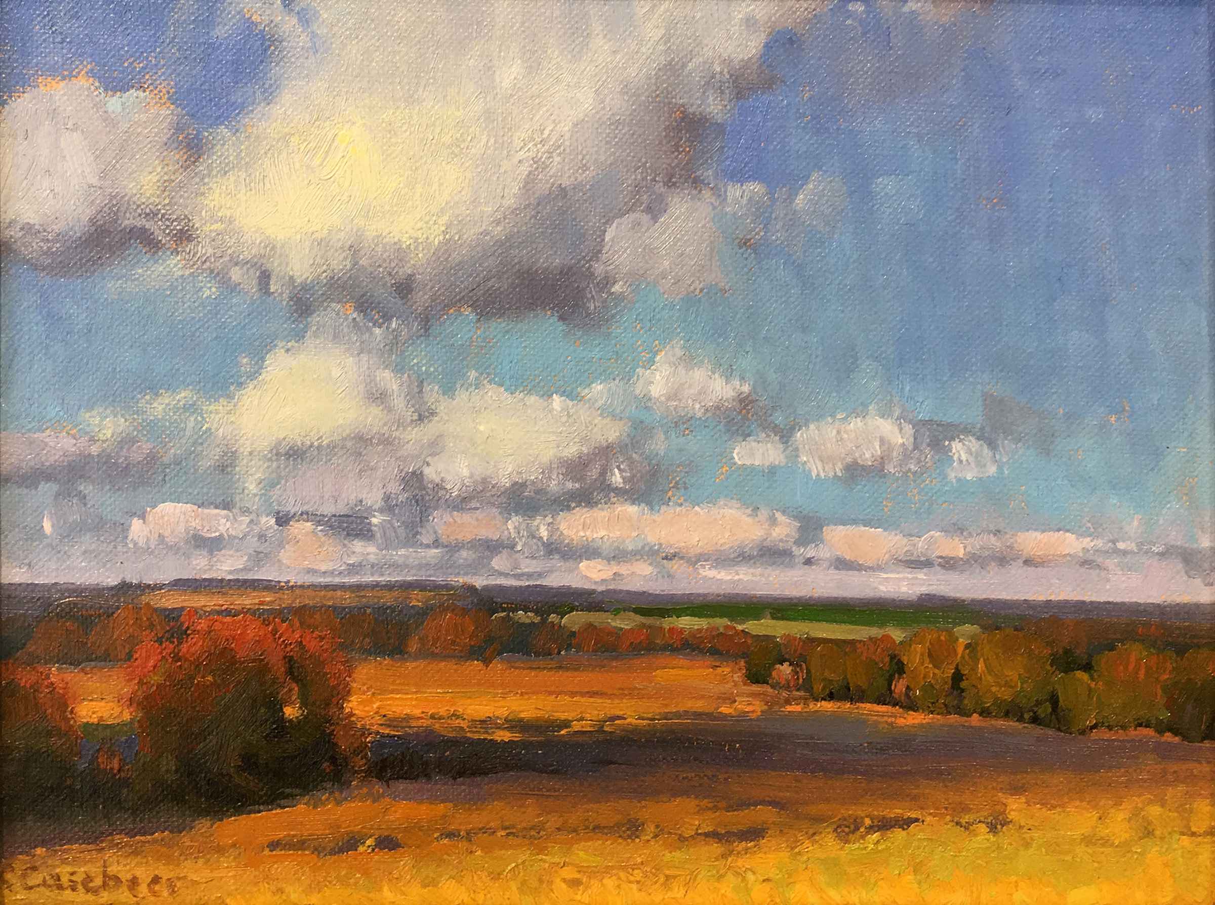 An Eskridge Prairie by Kim Casebeer - Strecker Nelson West Gallery