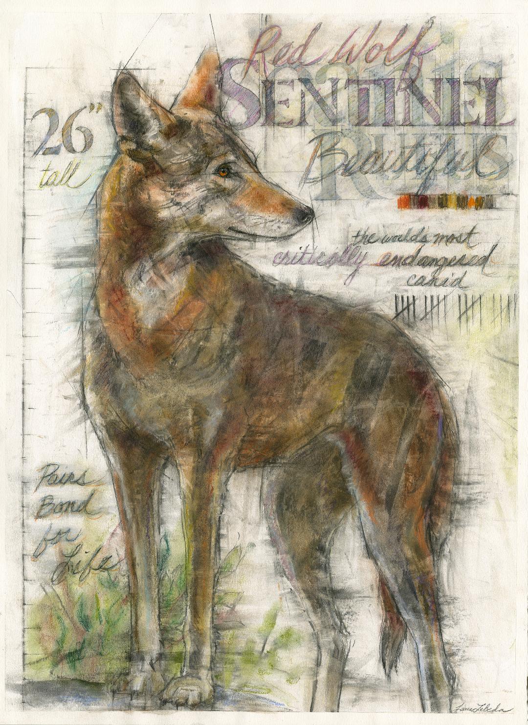 Image of Sentinel by Laura Lebeda