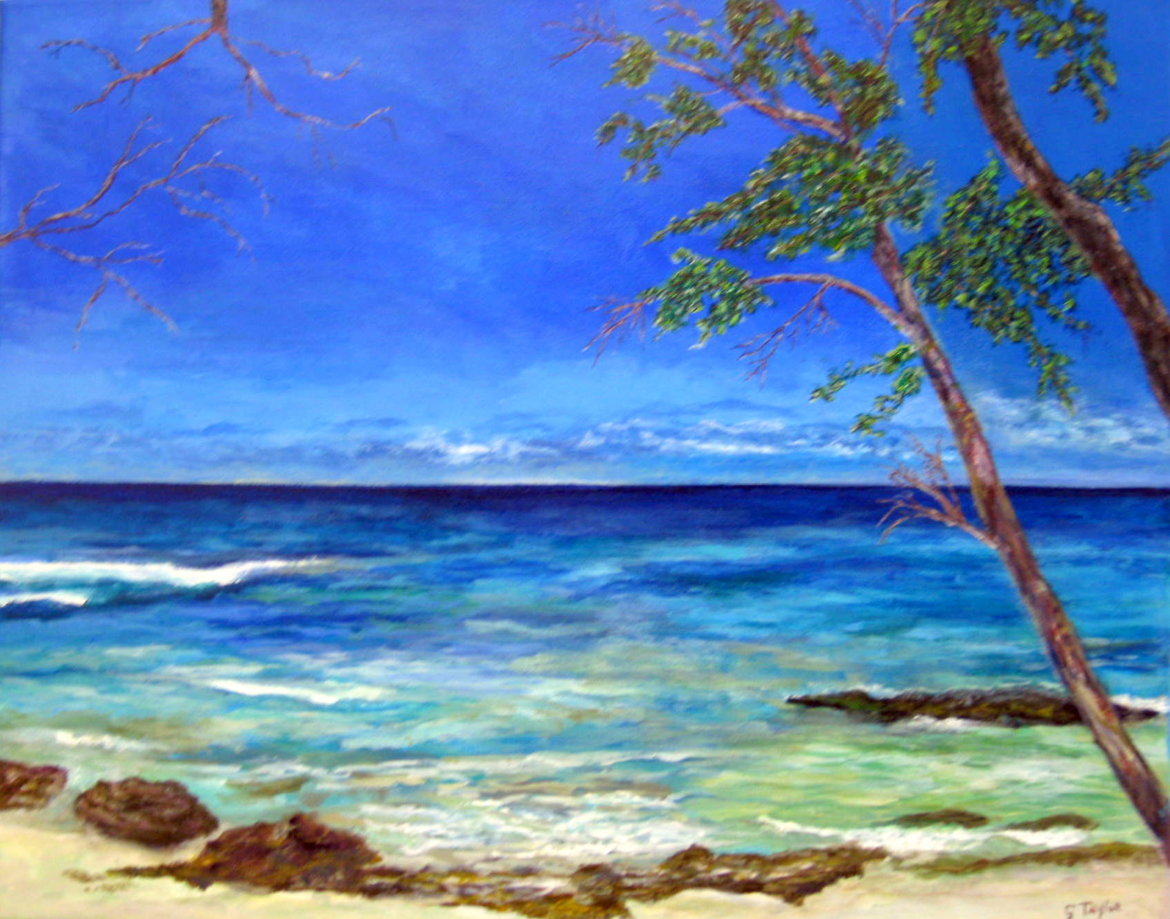 Gallery Of Caribbean Art Upcoming Events   JEDtZZFeKV1682098847 