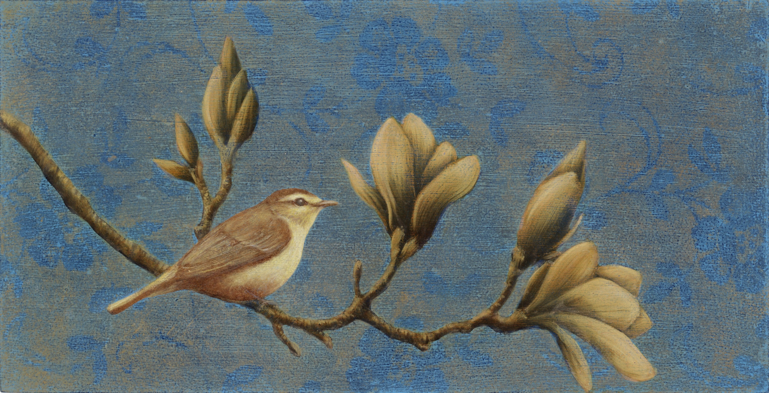 Image of Vireo by Susan Hall