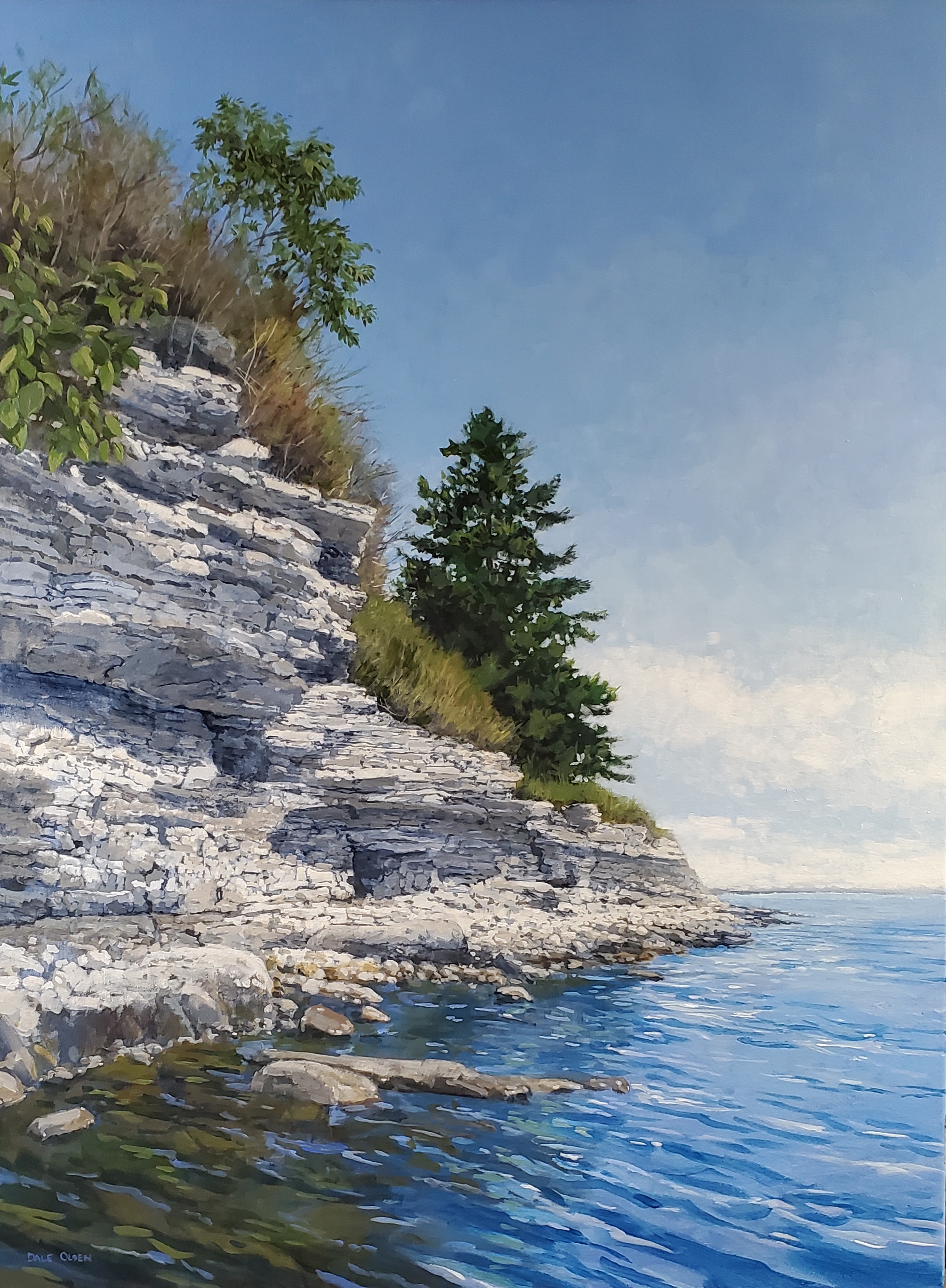 Image of Morning Fun by Dale Olsen