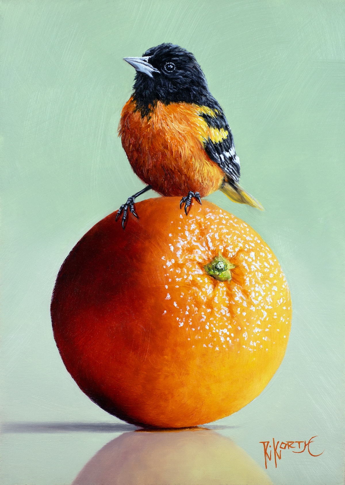 Image for Baltimore Oriole & Orange