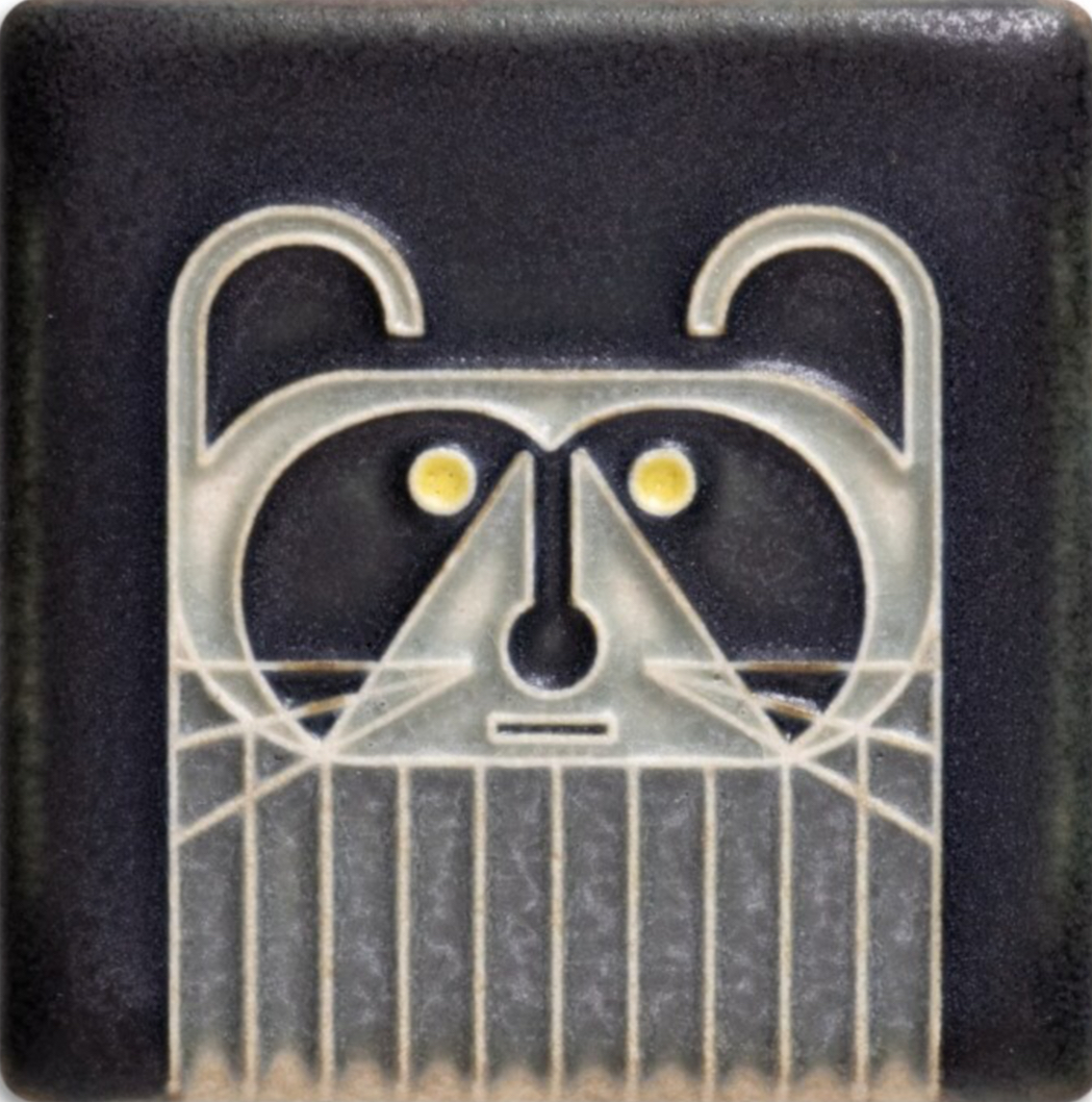 Image of Raccoon by Nawal Motawi