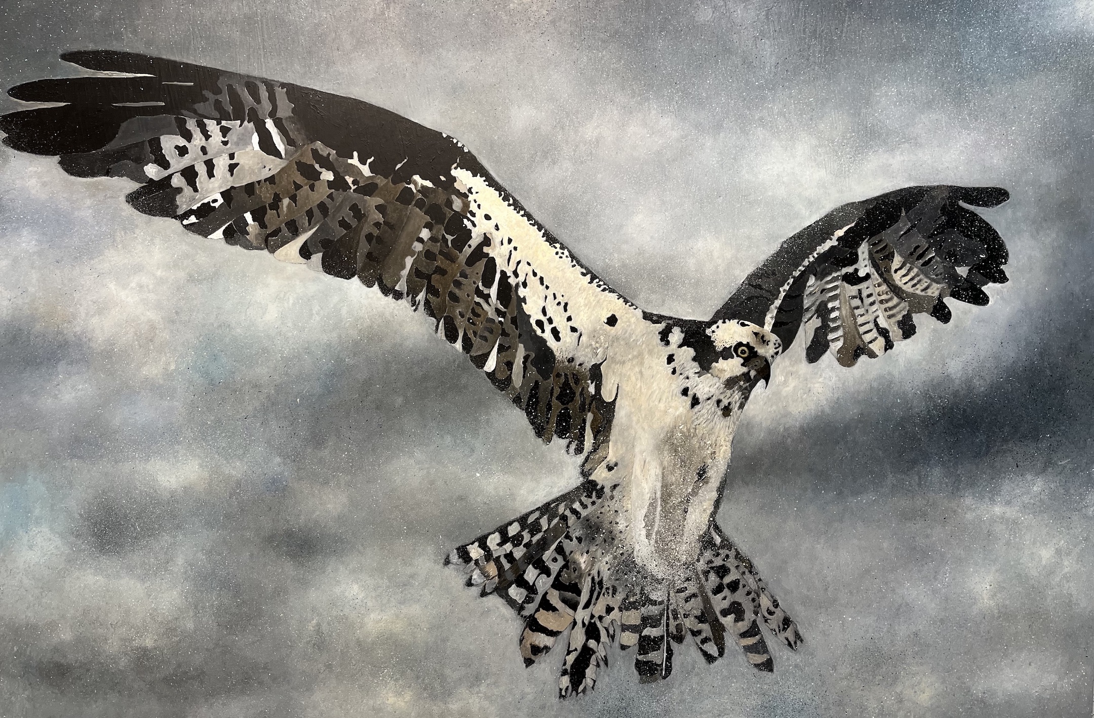 Osprey by Cindy Kane - Granary Gallery