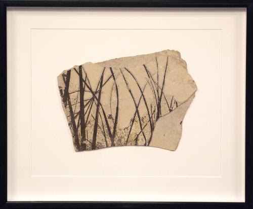Framed Palm Frond Tip... by   Fossils - Masterpiece Online