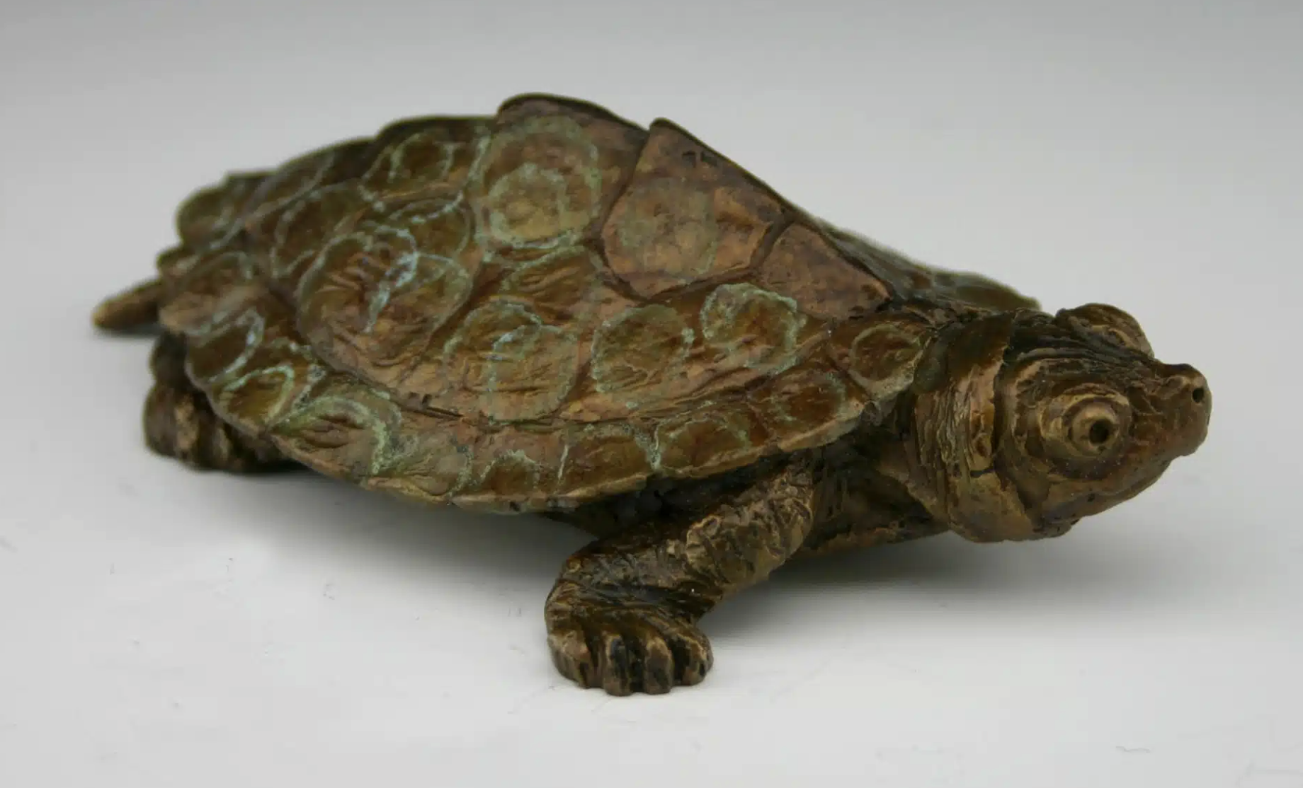Image of Map Turtle, Edition of 125 by Mark Dziewior