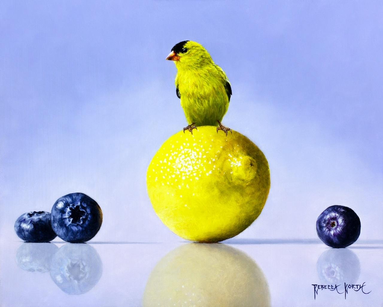 Goldfinch, Lemon & Berries