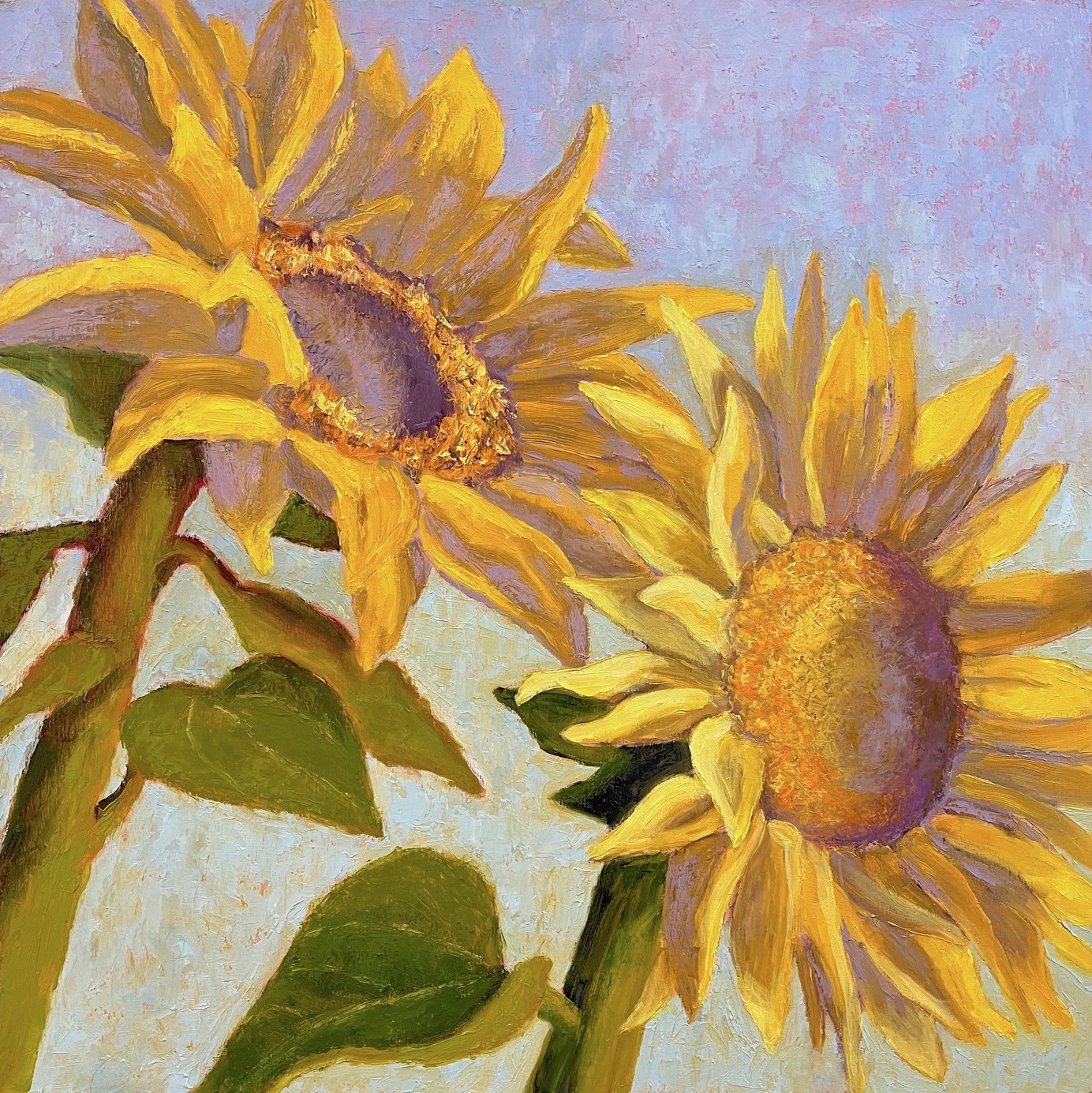Image of Golden Sunflowers by Pat Doherty