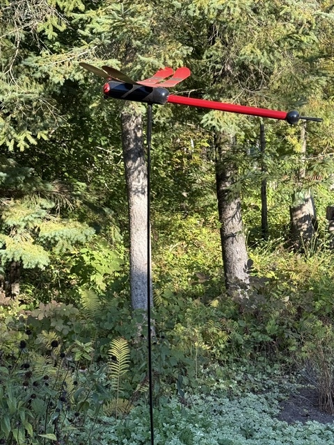 Image for Dragonfly, Painted Large, Open Edition
