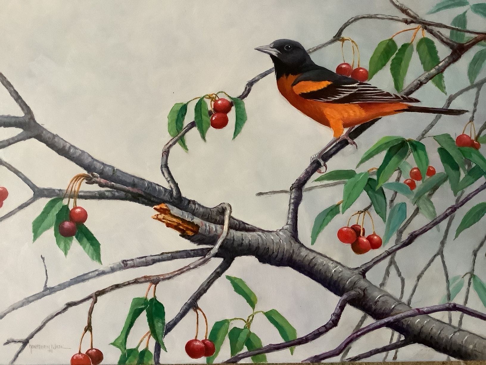 Image of An Orchard in the Orchard by Jonathan Wilde