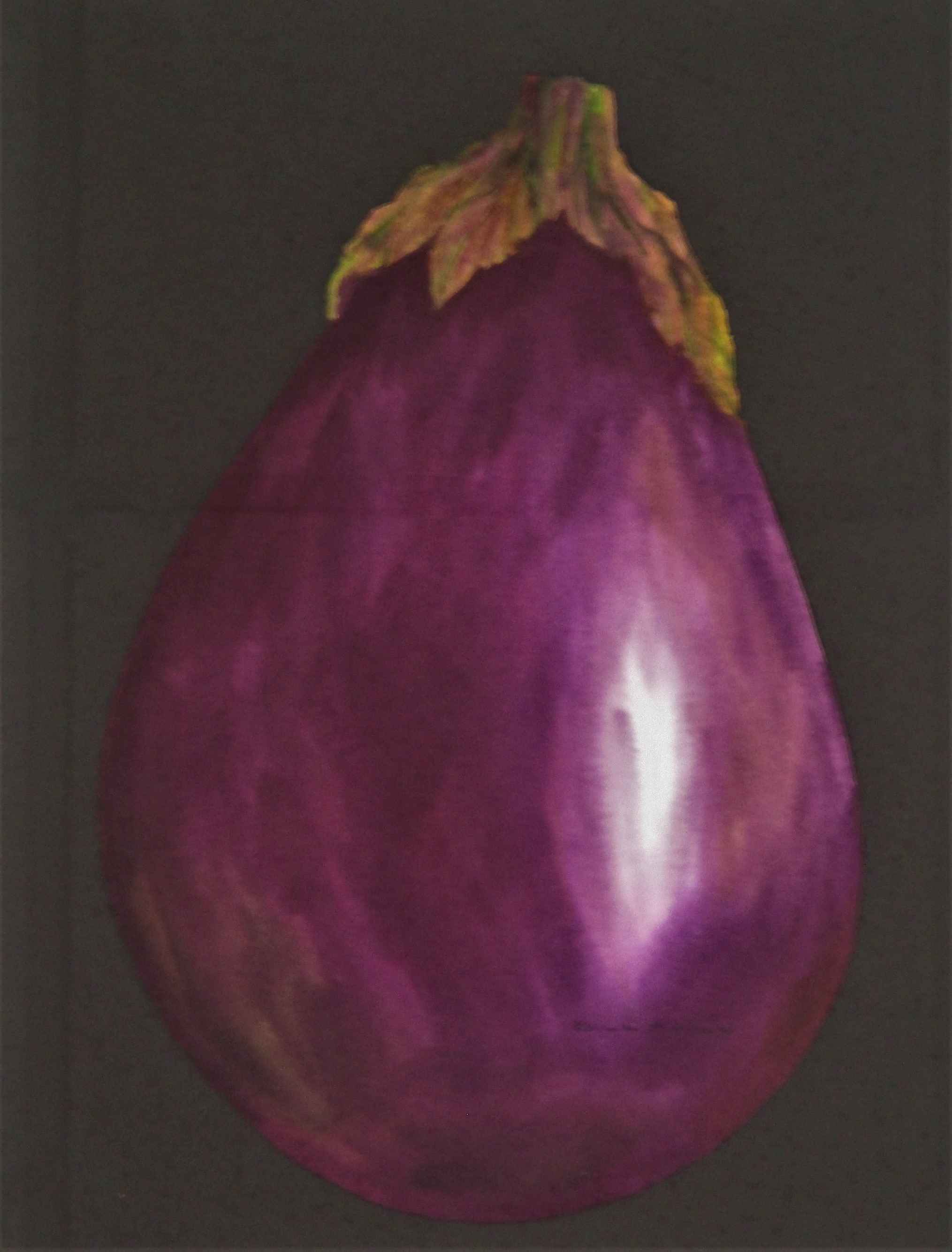 Black Beauty Eggplant by  Bill Baily - Masterpiece Online