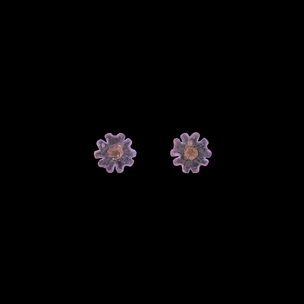 Image of Phlox Stud Earrings by Michael Michaud