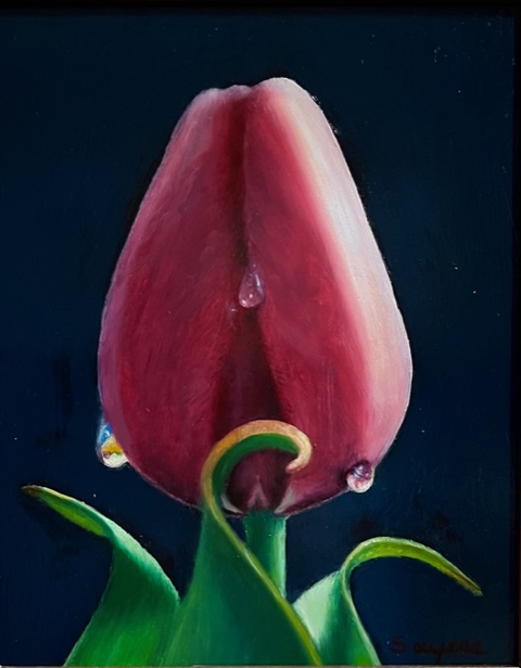 Tulip/Dew Drops