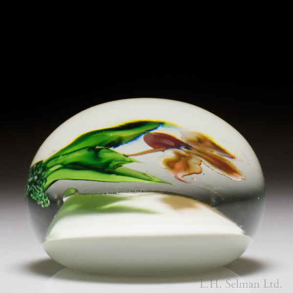 Daniel Salazar 1983 Lady S Slipper Orchid Paperweight Lh Selman Glass Paperweights