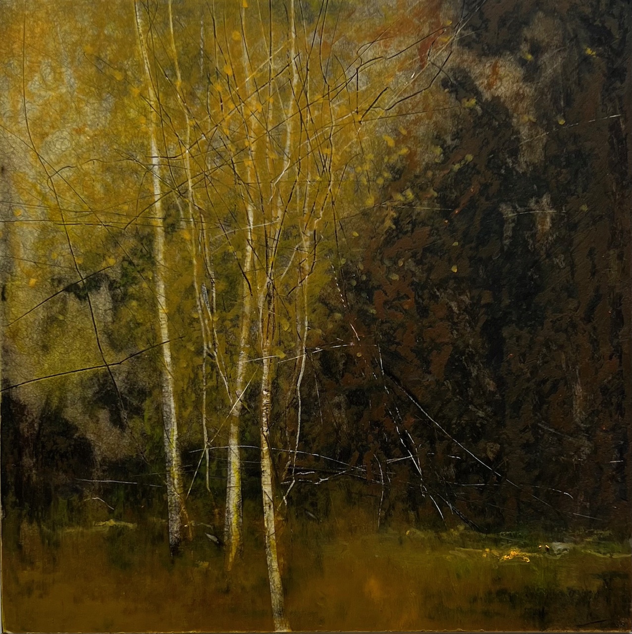 Three Birches, AKA Debby's Painting