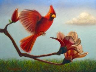 Springtime Cardinal