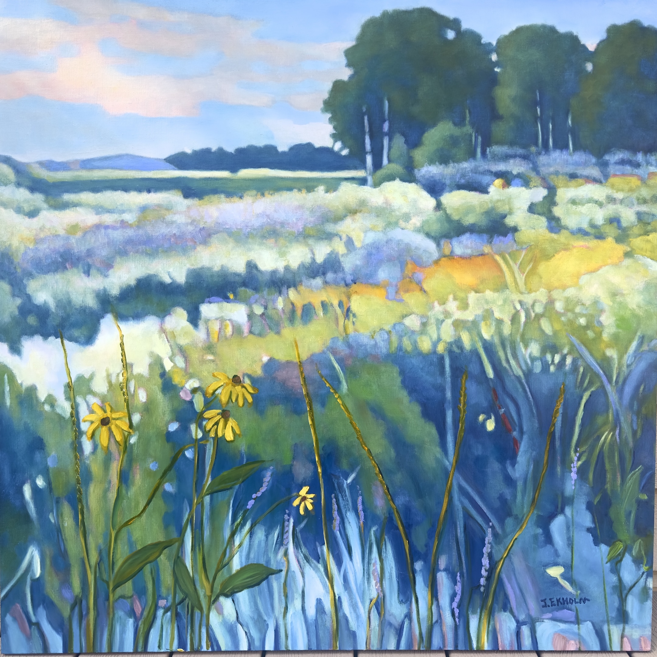 Image of The Dragonflies Den by Judi Ekholm