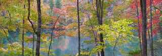 Autumn Pond Reflection by  Steven Friedman - Masterpiece Online