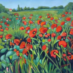 Image of Spanish Poppies by Judi Ekholm