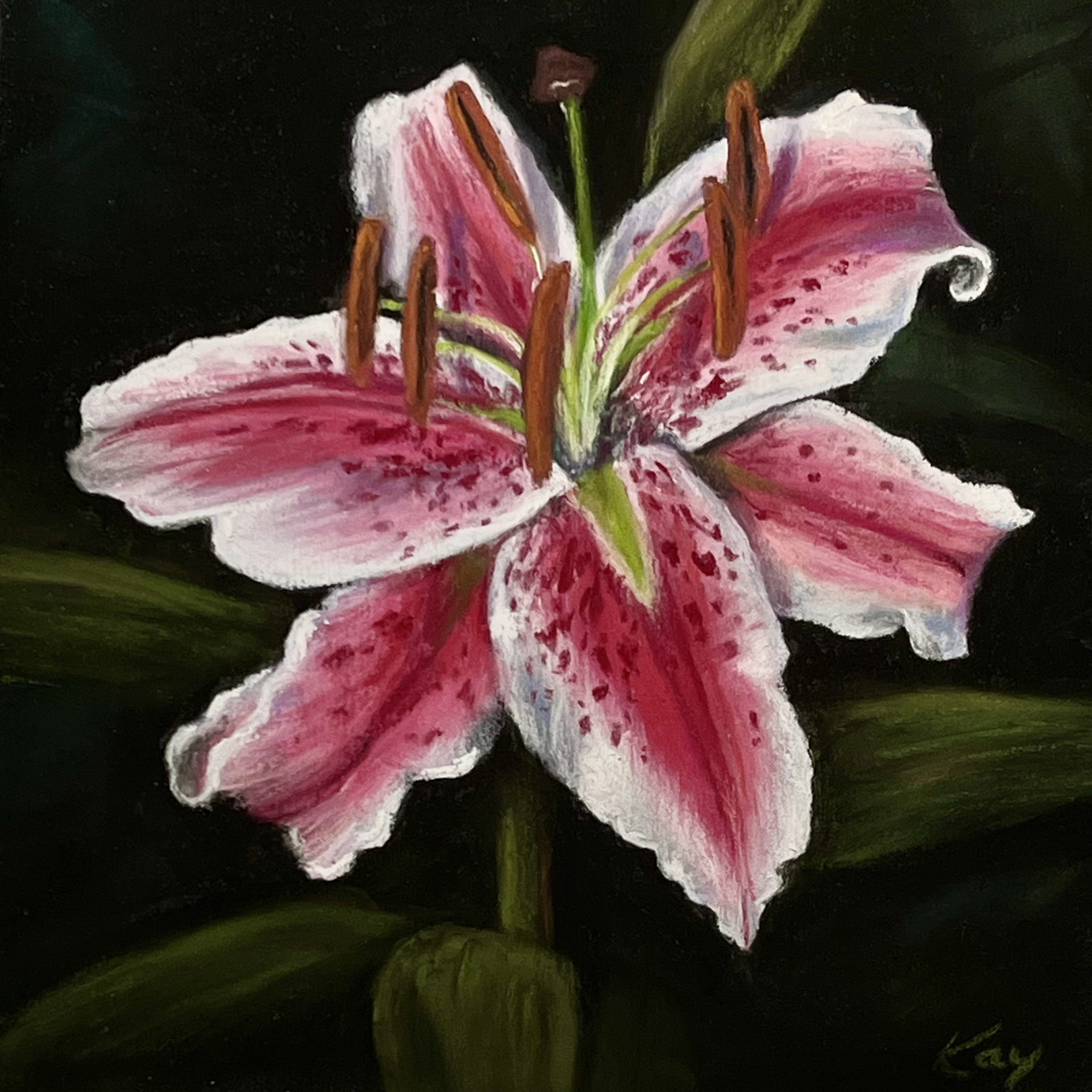 Image of Lilium orientalis by Kay Brathol-Hostvet