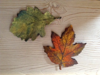 Image 1 for Medium Leaf Medium Leaf