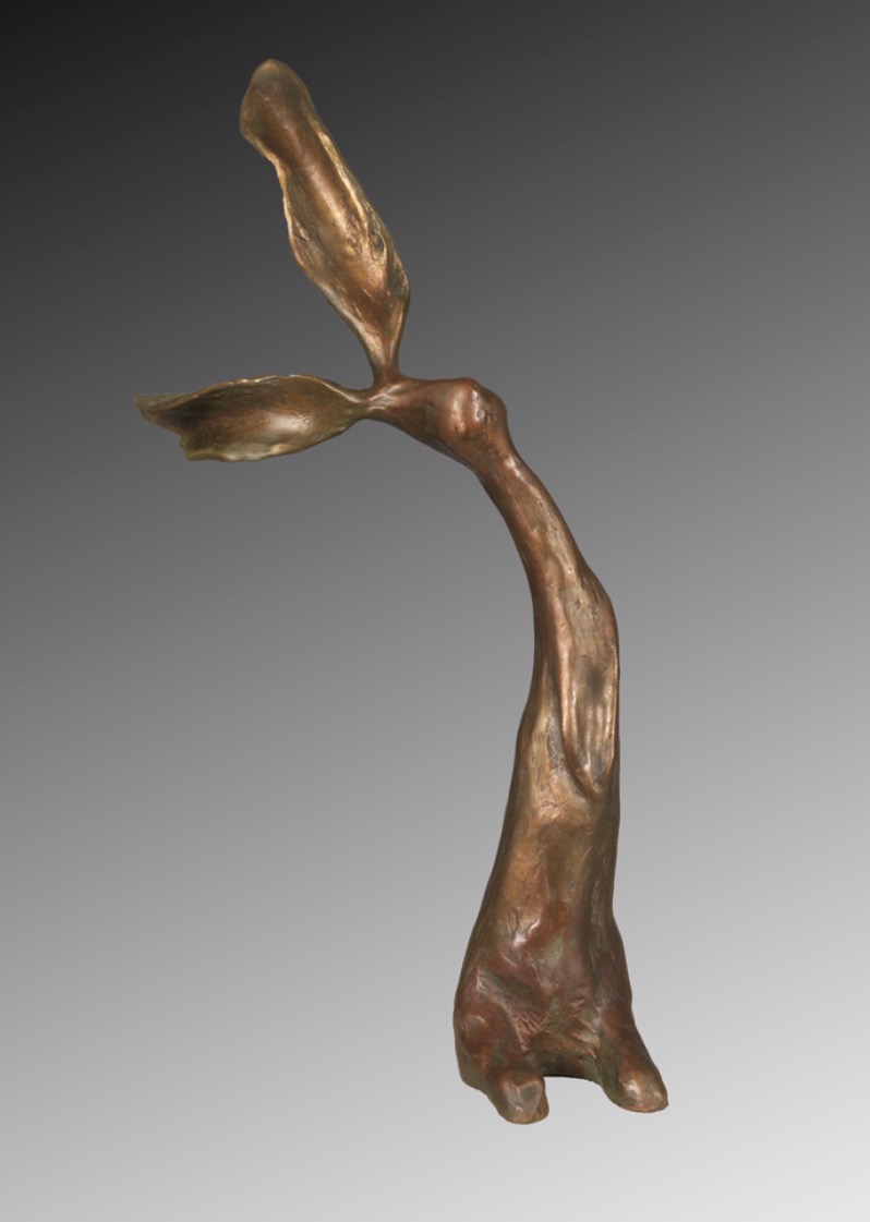 Image of 18