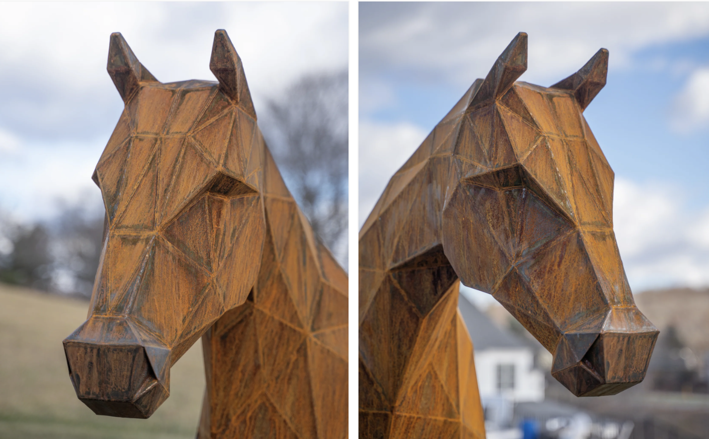 Image of Horse by Dale Rogers