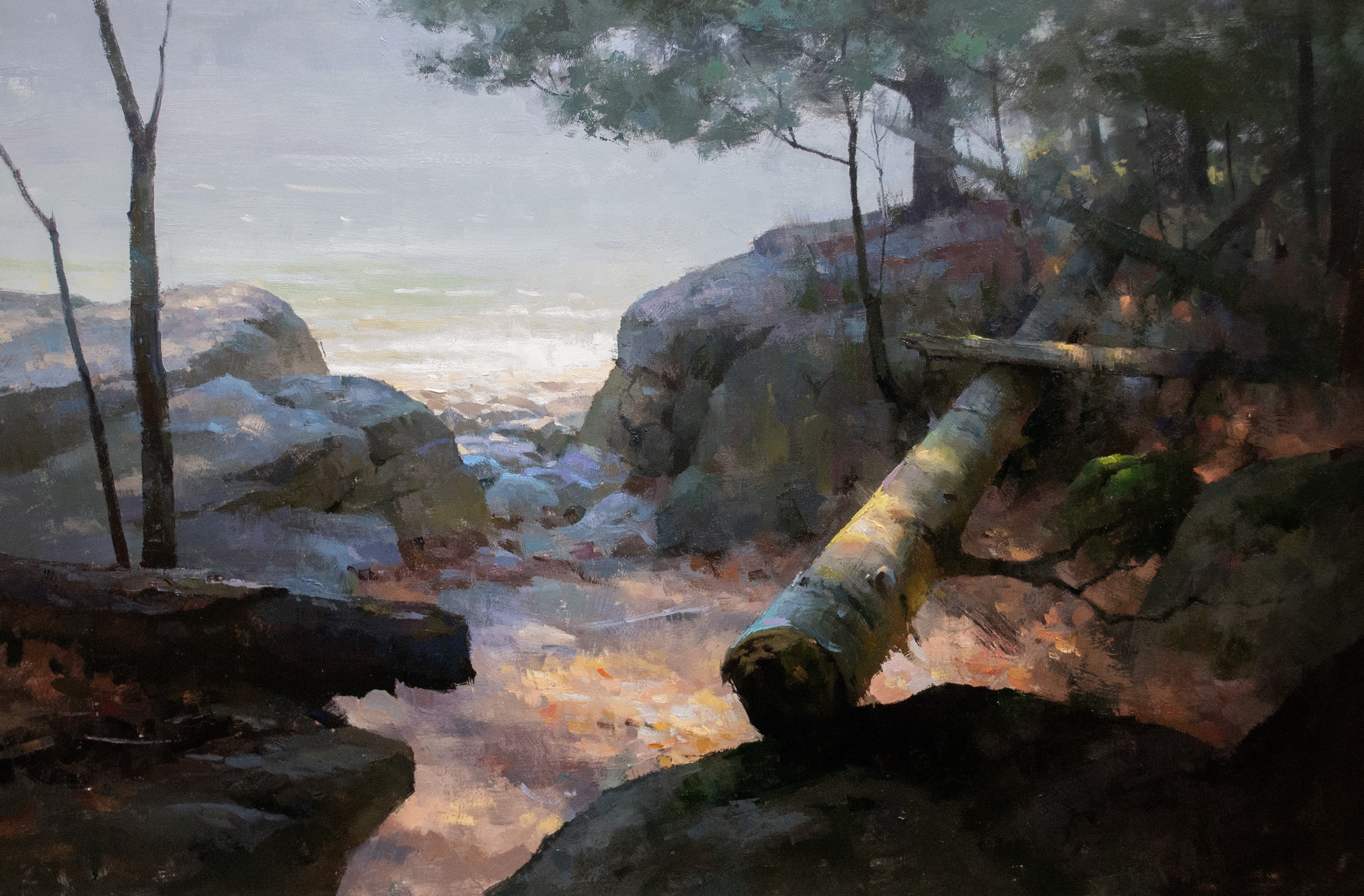 Image of Lakeshore Light by Marc Anderson