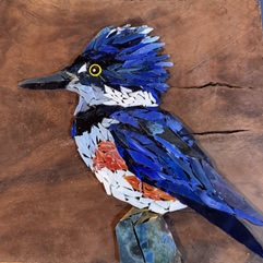 Image for D.C. Kingfisher