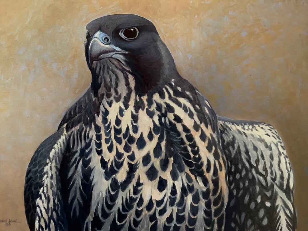 Image of Him by Jonathan Wilde