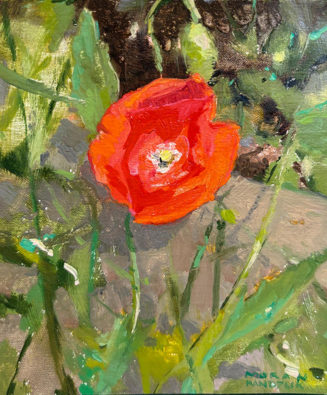 Image of Red Poppy by Bethann Moran-Handzlik