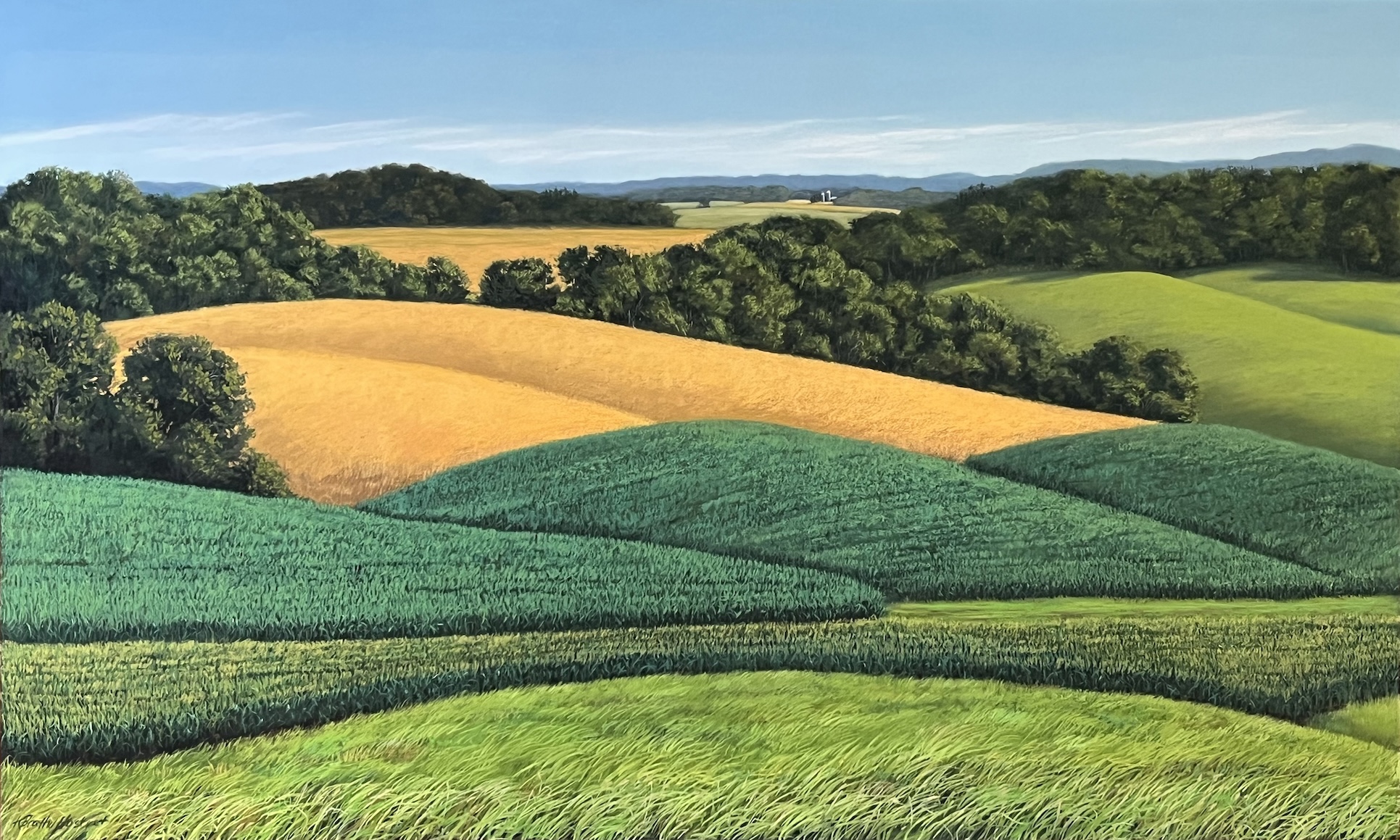 Image of Driftless by Kay Brathol-Hostvet