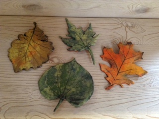 Image 1 for Small Leaf Small Leaf