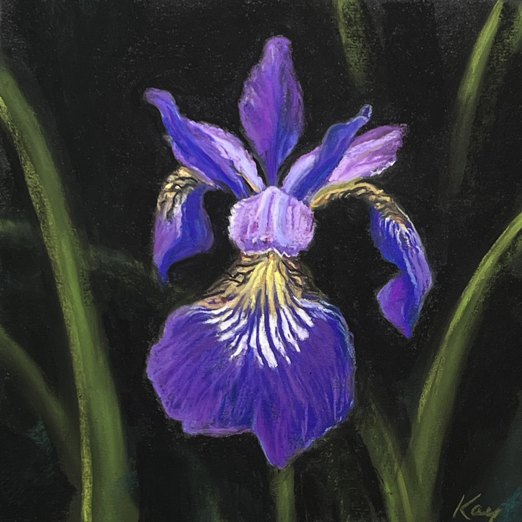 Image of Iris Siberica by Kay Brathol-Hostvet