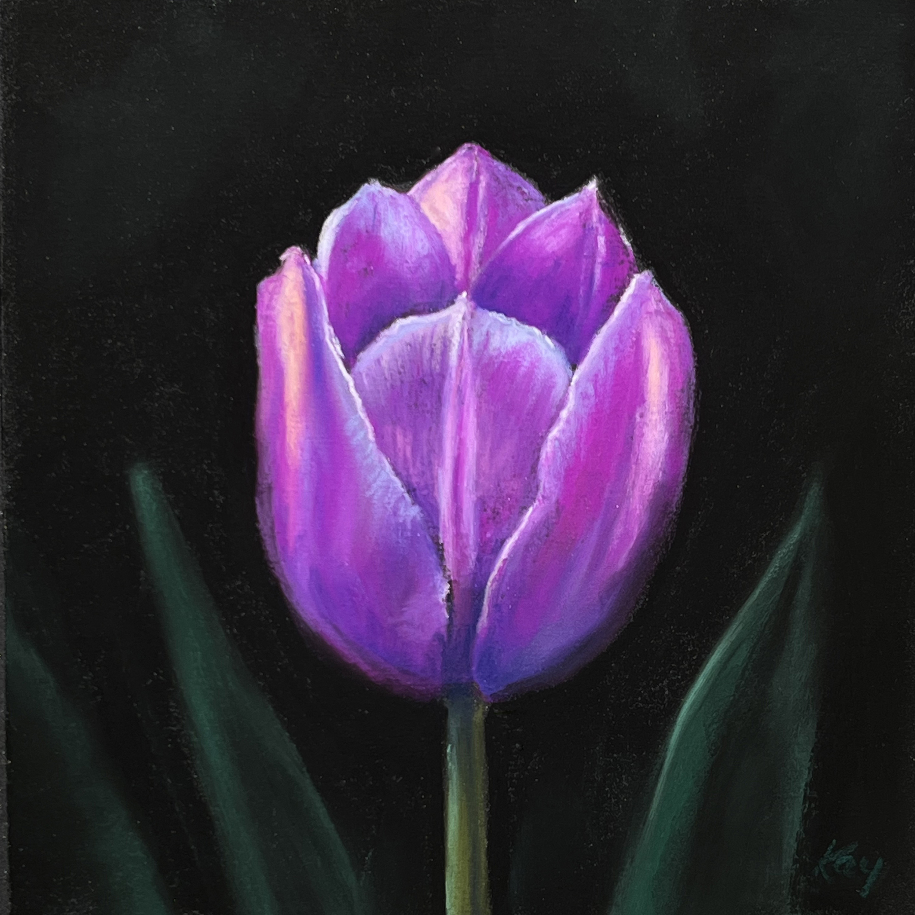 Image of Tulipa by Kay Brathol-Hostvet