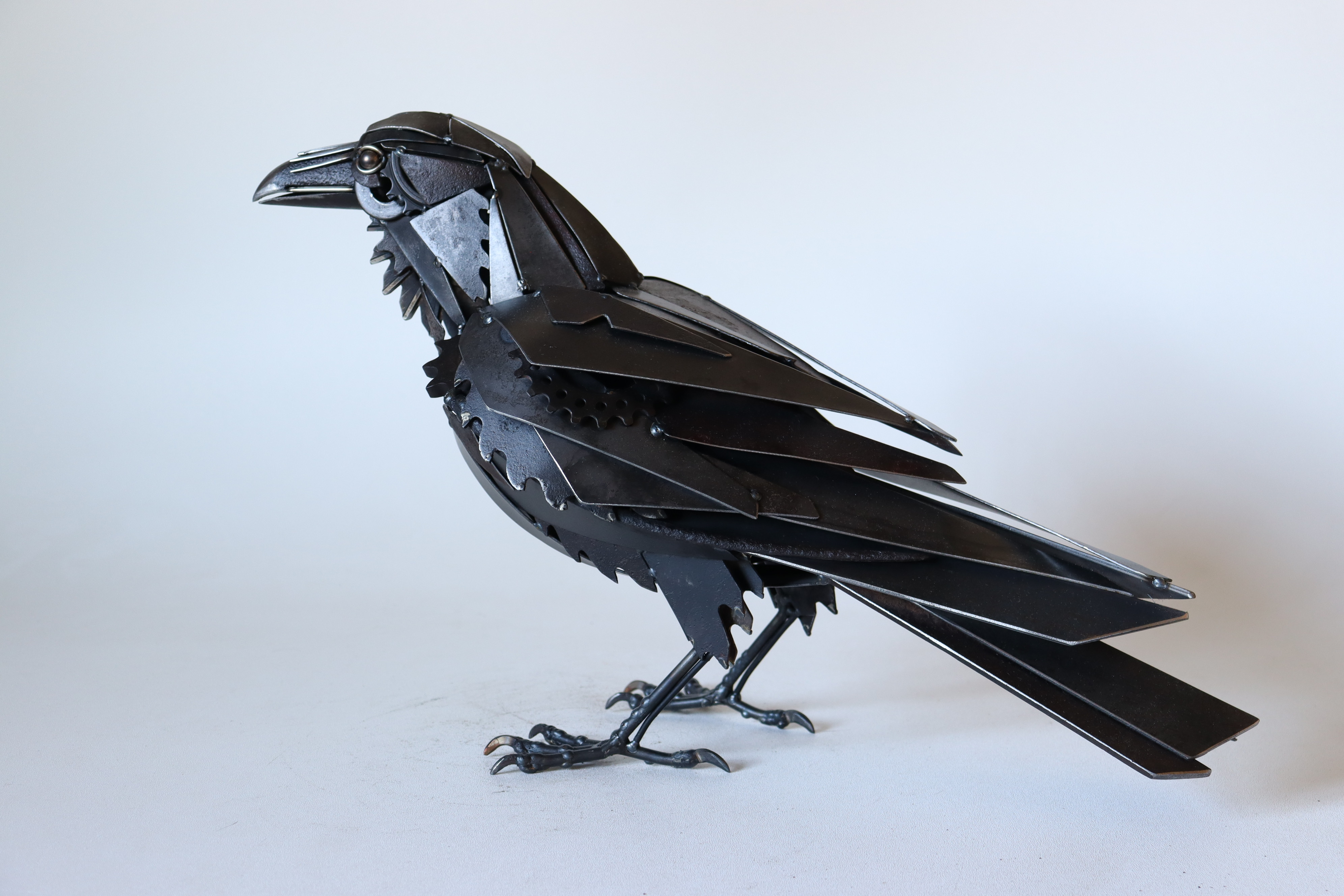 Image of Henry Corvid by David Groenjes
