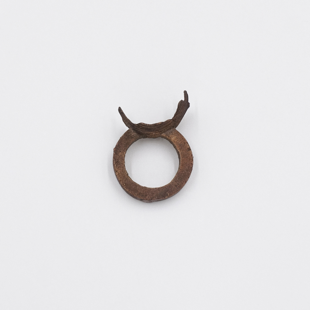 Bronze Ring 01_4/9 by Rudee Tancharoen