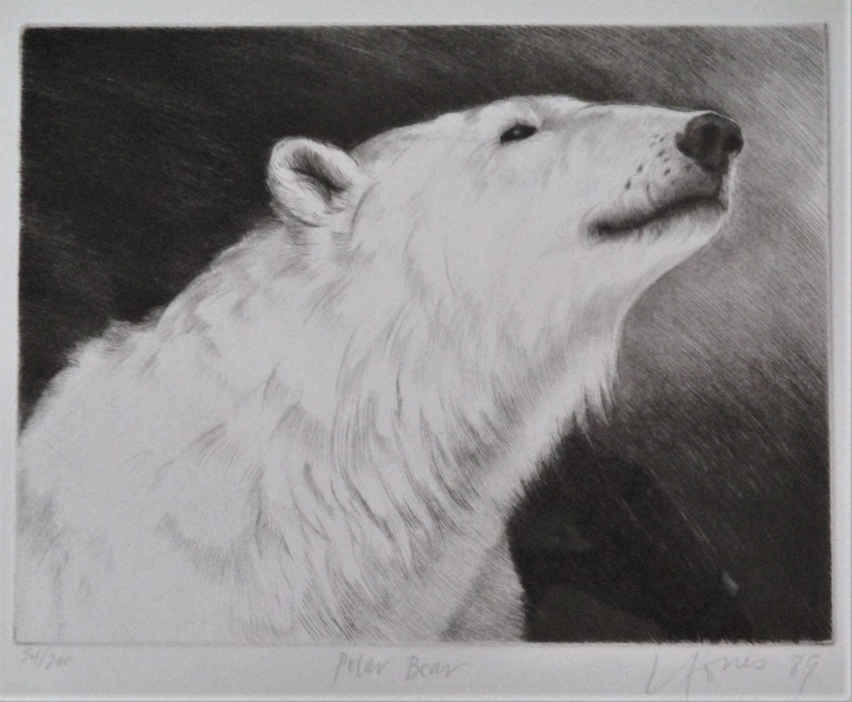 Polar Bear by  Liza Jones - Masterpiece Online